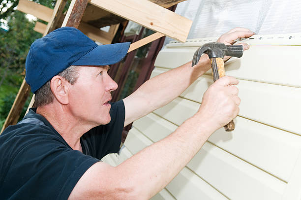 Affordable Siding Repair and Maintenance Services in Sorrento, LA